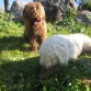 Facundo y Tula de ruta por la Sierra